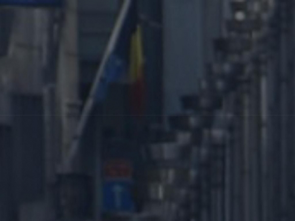 rijbewijsbelgie.com